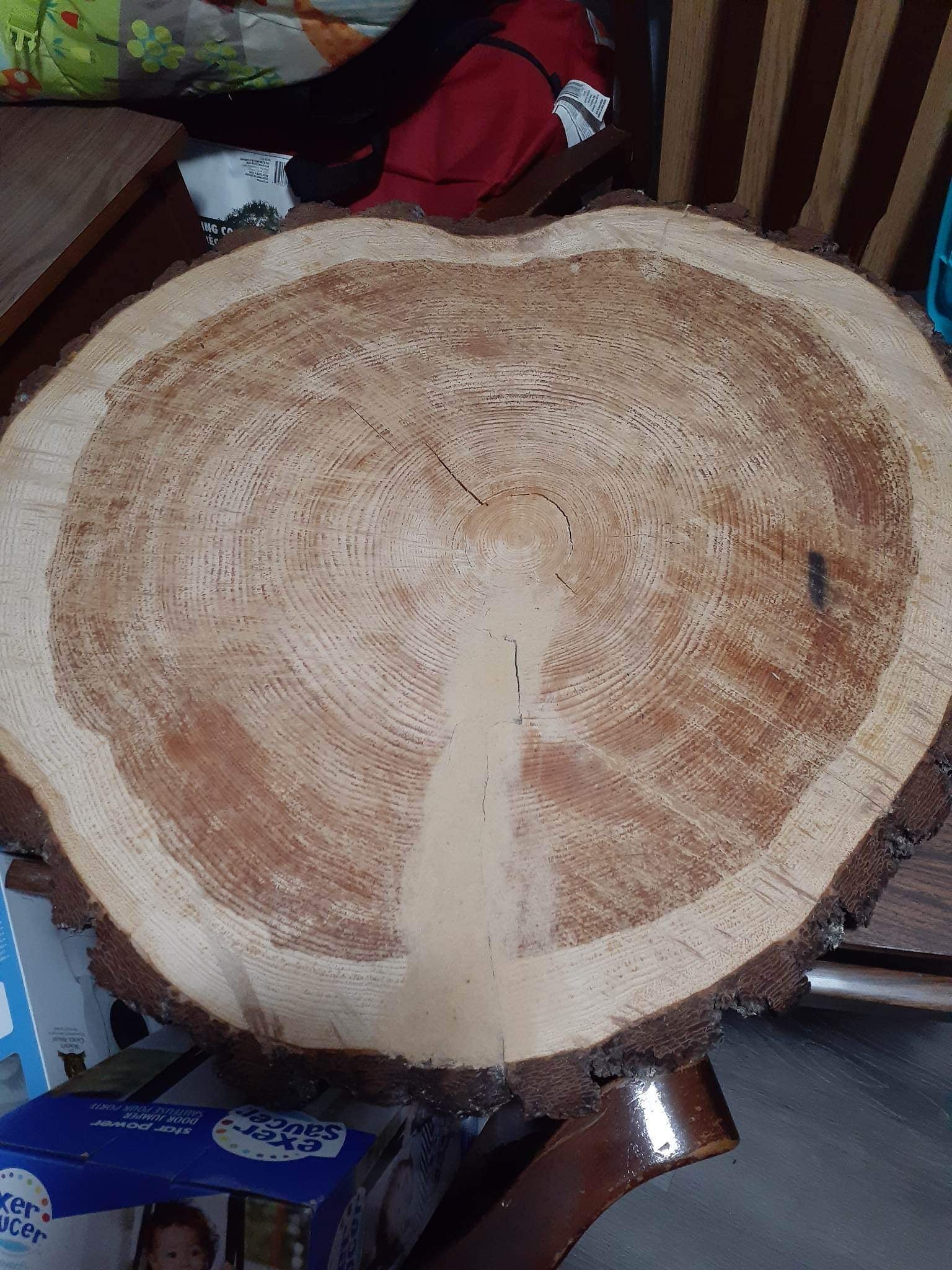 Cross-section of a tree trunk with visible growth rings on a wooden surface.